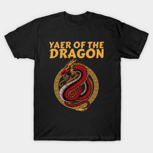 Year of the dragon 2024 New lunar year 2024 T-Shirt